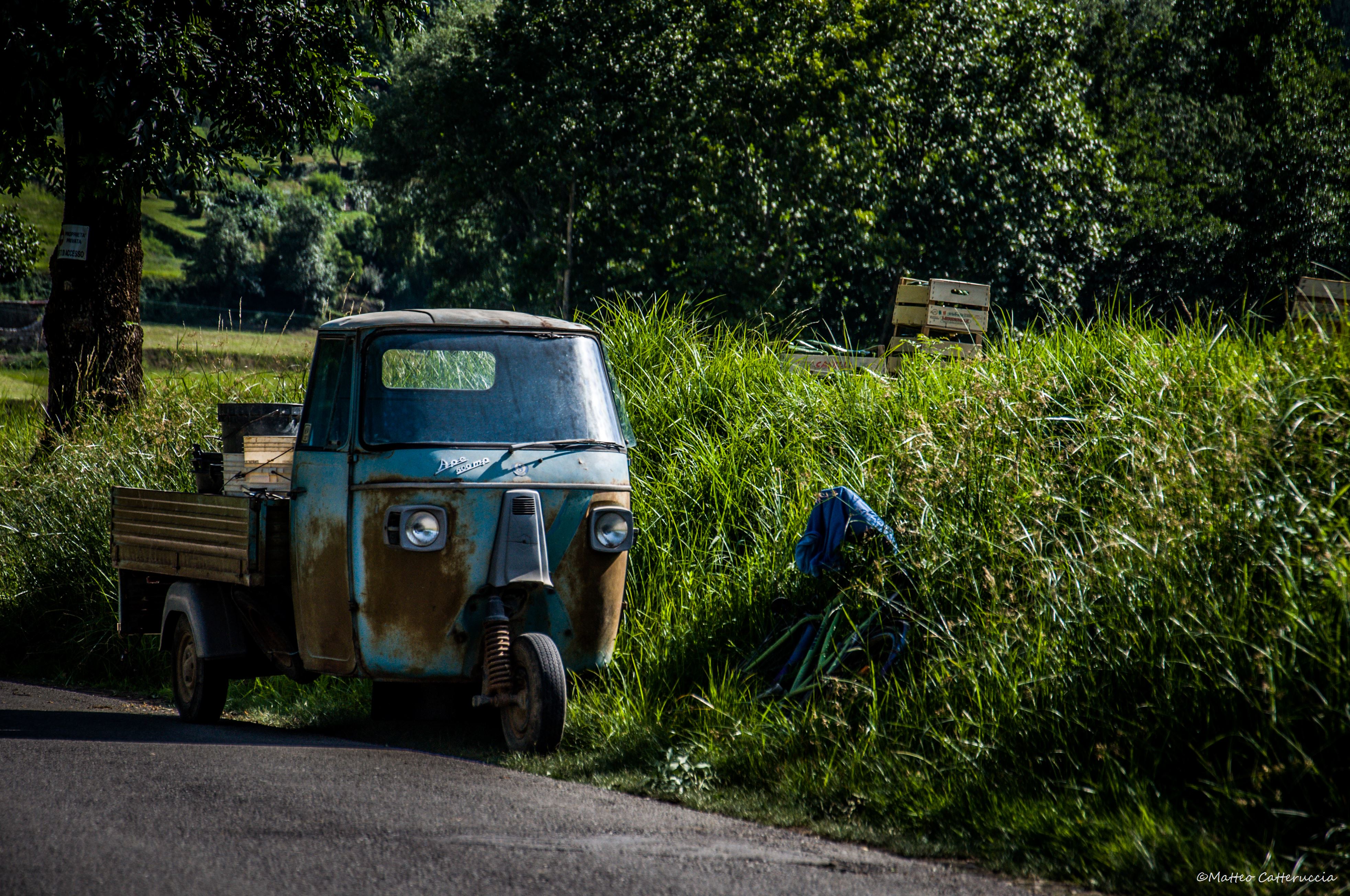 slideshow image